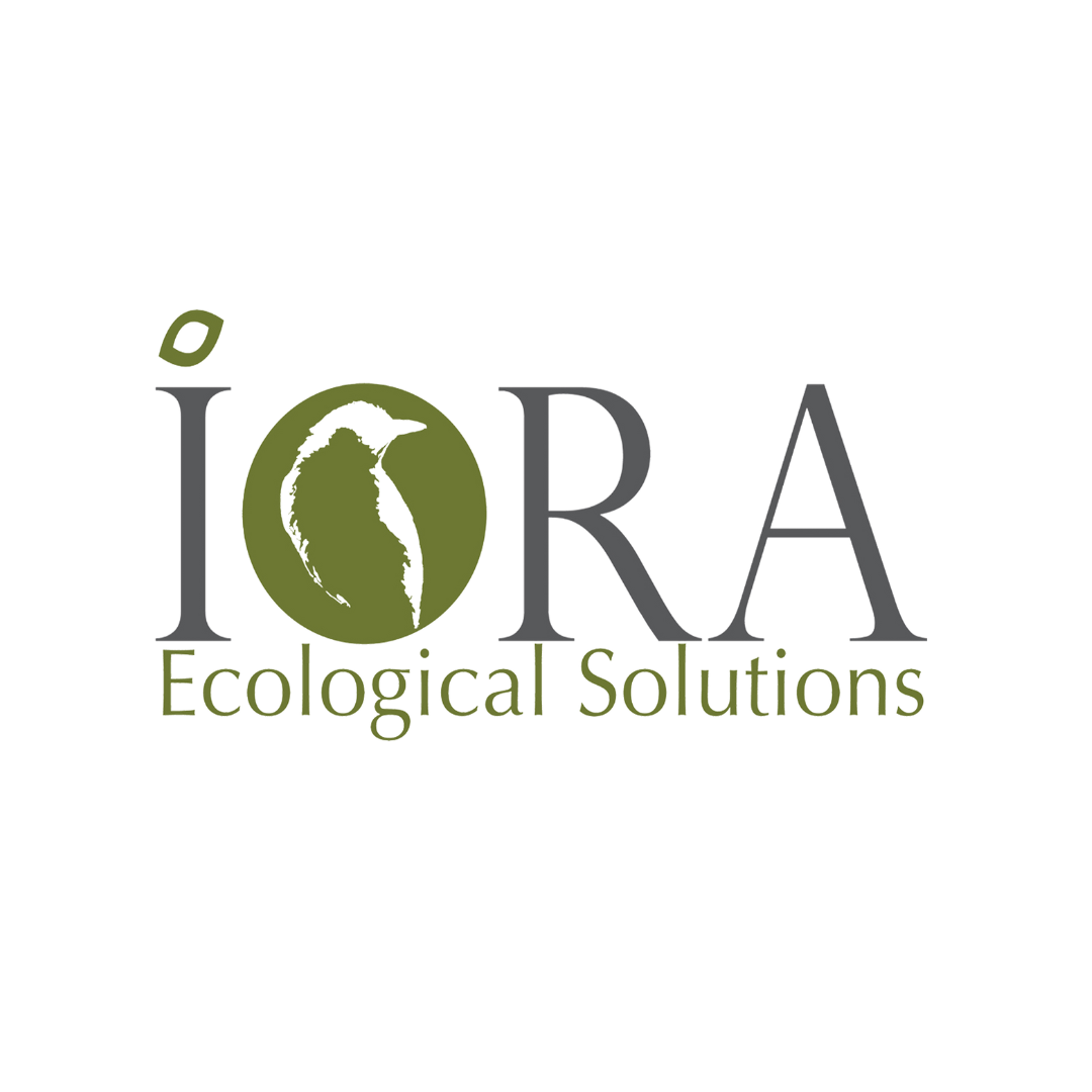 IORA LOGO.png